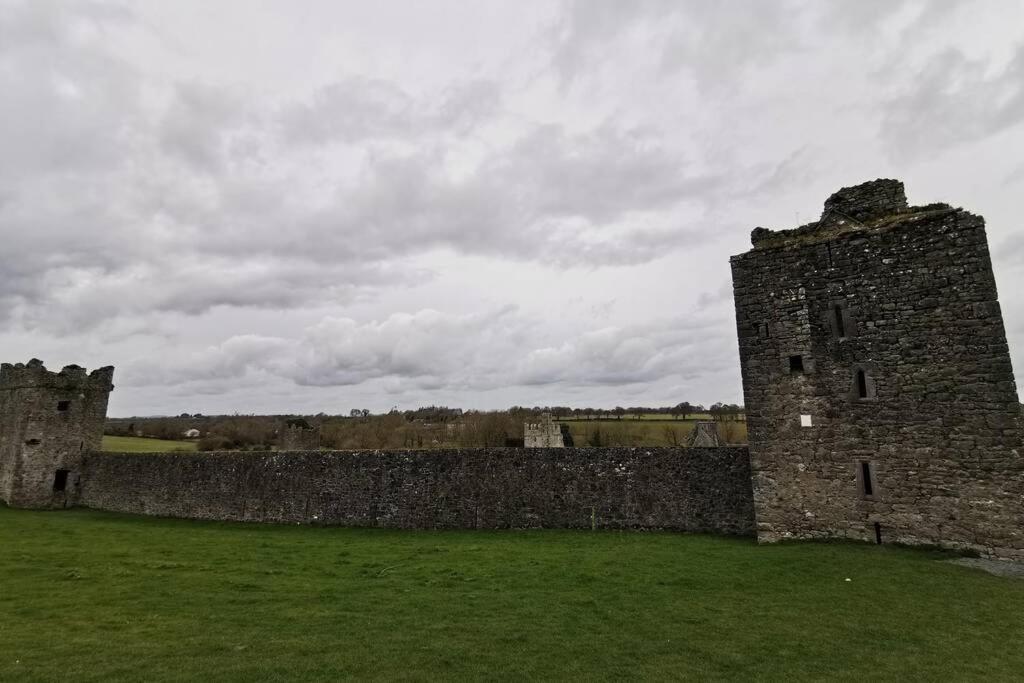 Tranquil Unit Close To Kells Kilkenny Bagian luar foto