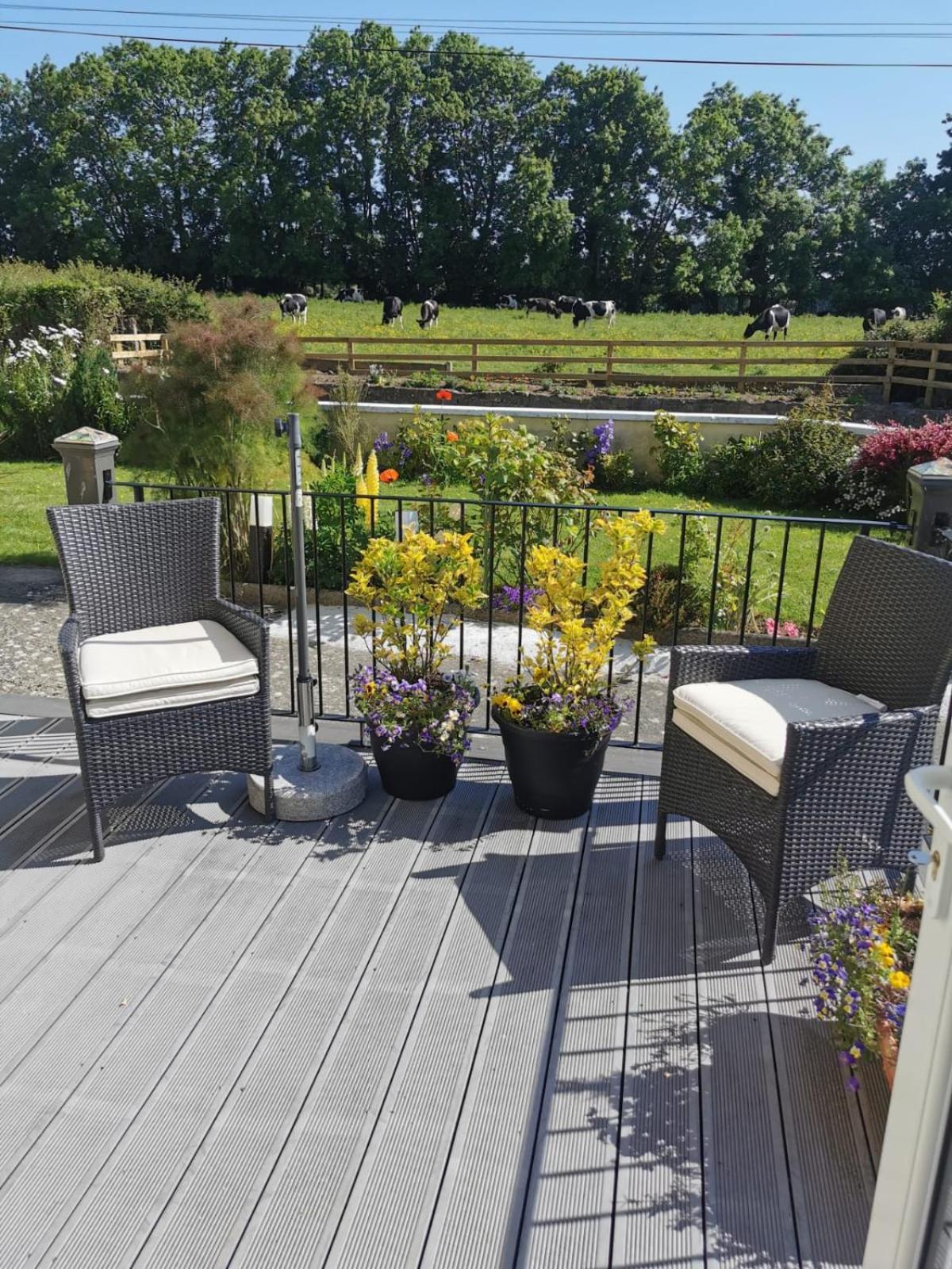 Tranquil Unit Close To Kells Kilkenny Bagian luar foto